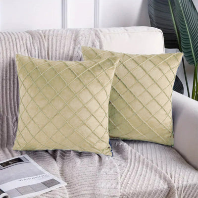 Executive Velvet Cushion Pack Of 2